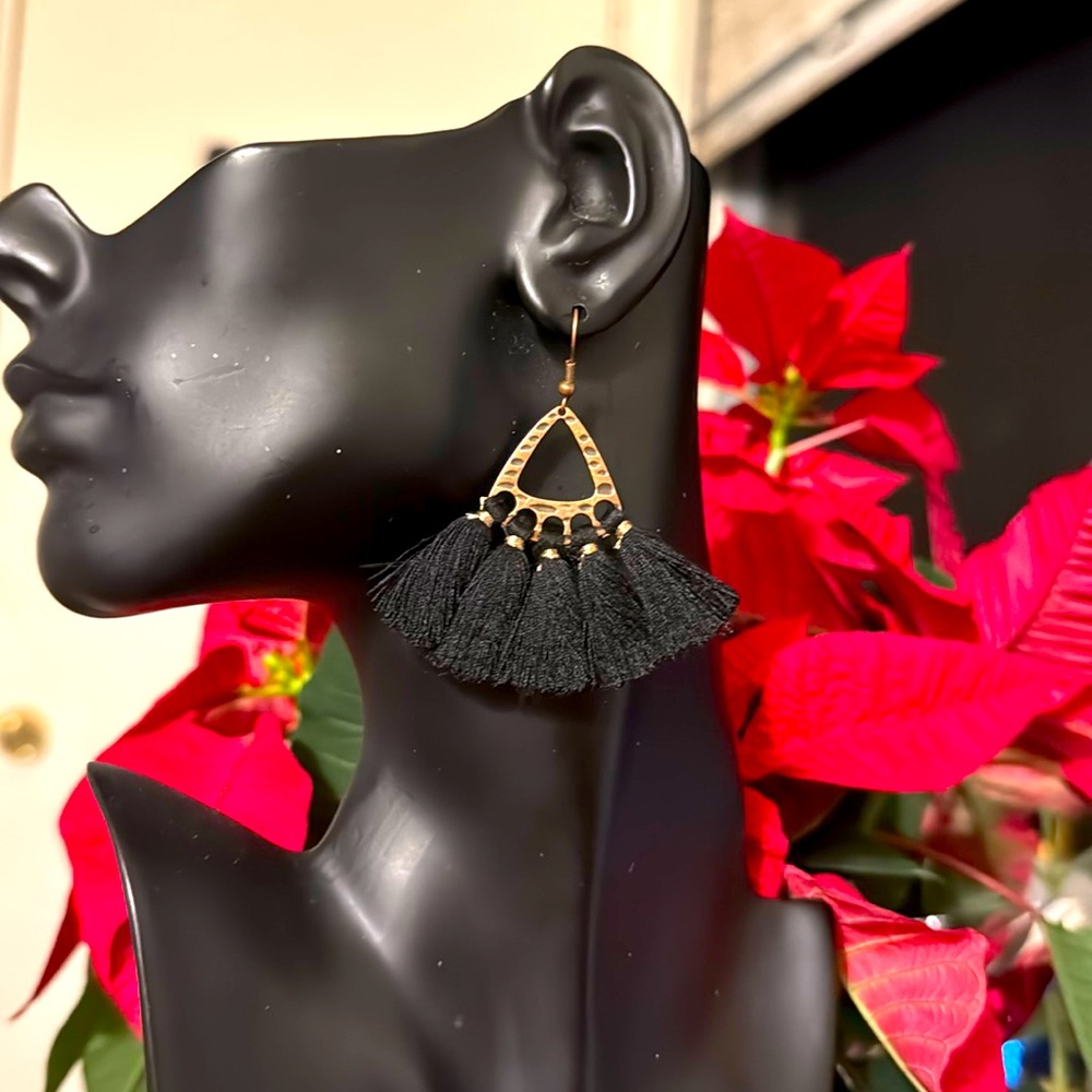 Beautiful Black earrings.